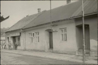 dom, skan 2