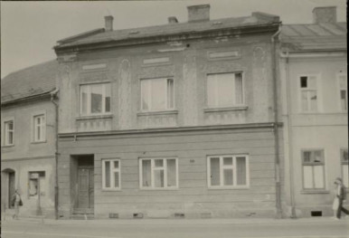 dom, skan 2