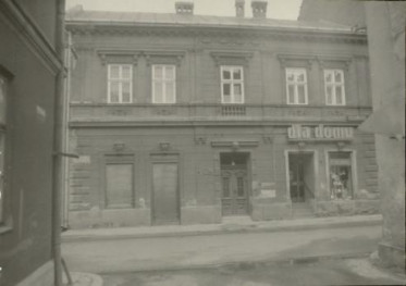 dom, skan 2