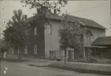 dom, skan 2