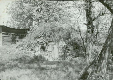 piwnica, skan 3