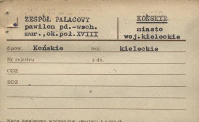 pawilon południowo-wschodni pałacu, skan 1