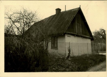 dom, skan 3