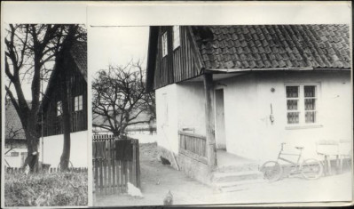 dom, skan 3