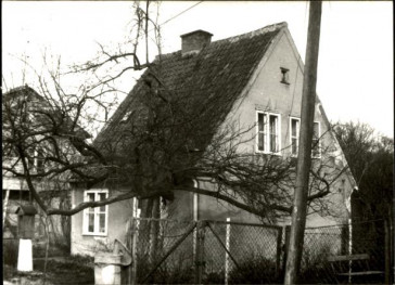 dom, skan 3