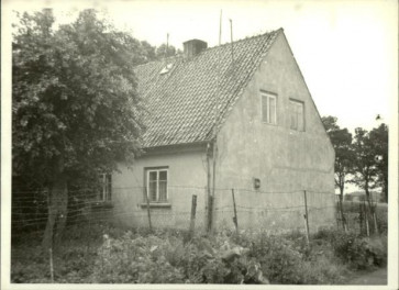 dom, skan 3