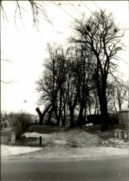 lipowa aleja cmentarna, skan 4