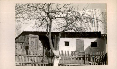 stodoła i obora, skan 2