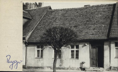 dom, skan 3