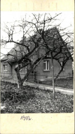 dom, skan 2