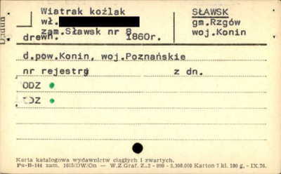 wiatrak koźlak, skan 1
