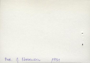 willa p. Wojciechowskiego, skan 4