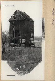 wiatrak koźlak, ob. paltr., skan 3