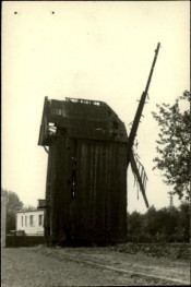 wiatrak koźlak, skan 3