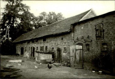 chlewnia, skan 2