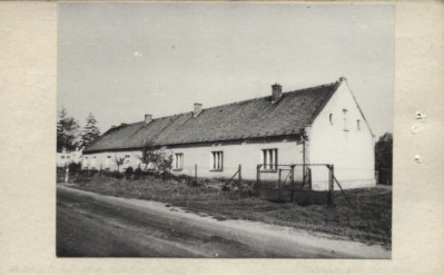 czworak, skan 2