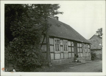 dom, skan 3