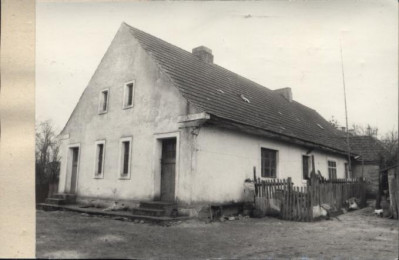 czworak, skan 2