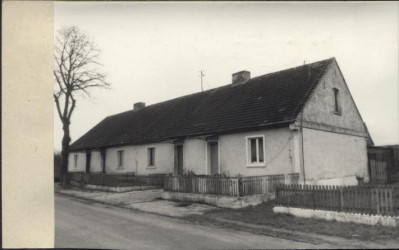 czworak, skan 2