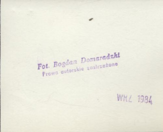 dom, skan 3