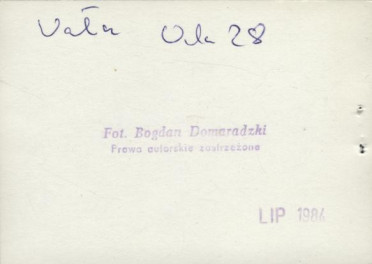 dom, skan 4