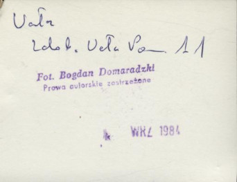 dom, skan 3