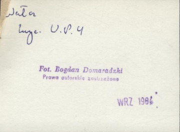 dom, skan 3