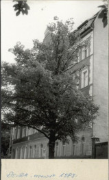 budynek mieszkalny, skan 2
