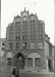 dom, skan 3