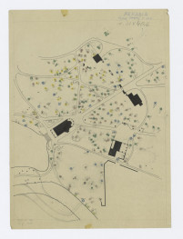 plan sytuacyjny rozmieszczenia drzew i oznaczeń ich gatunków w pobliżu budowli romantycznych 1:500, skan 1
