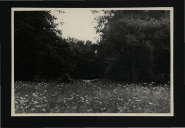 3 fotografie czarno-białe przedstawiające fragment elewacji frontowej pałacu oraz pobliski park; 11 sierpnia 1956 r.                                           , skan 1