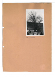 fotografia czarno-biała. ruiny miejscowego zamku , skan 1