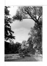 fotografia czarno-białe; lwy przed Świątynią Diany, skan 1
