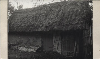 obora, skan 2