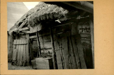 komora /fragm. okołu/, skan 3