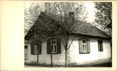 dom, skan 3