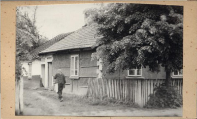 dom, skan 3