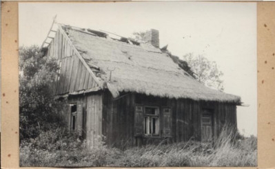 dom, skan 3