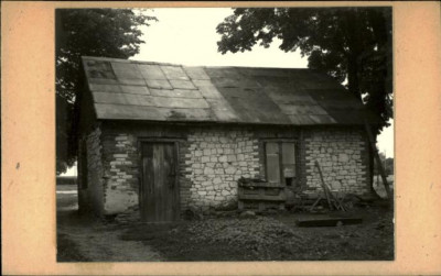 budworski, skan 3