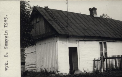 dom, skan 2