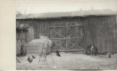 stodoła, skan 3