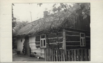 dom, skan 3