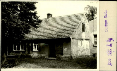 dom, skan 3