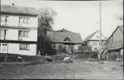 dom, skan 5