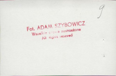 dom, skan 8