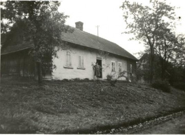dom, skan 2