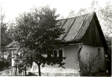 dom, skan 2