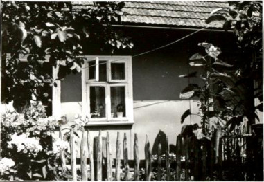 dom, skan 2