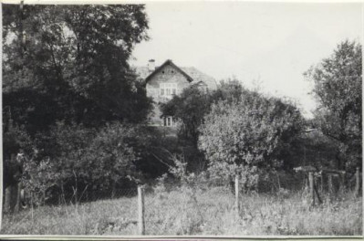 dom, skan 3