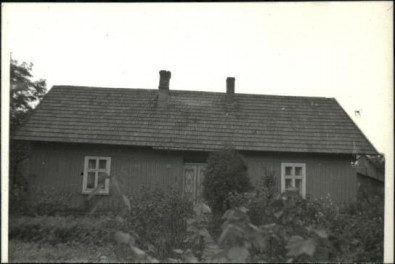 dom, skan 3